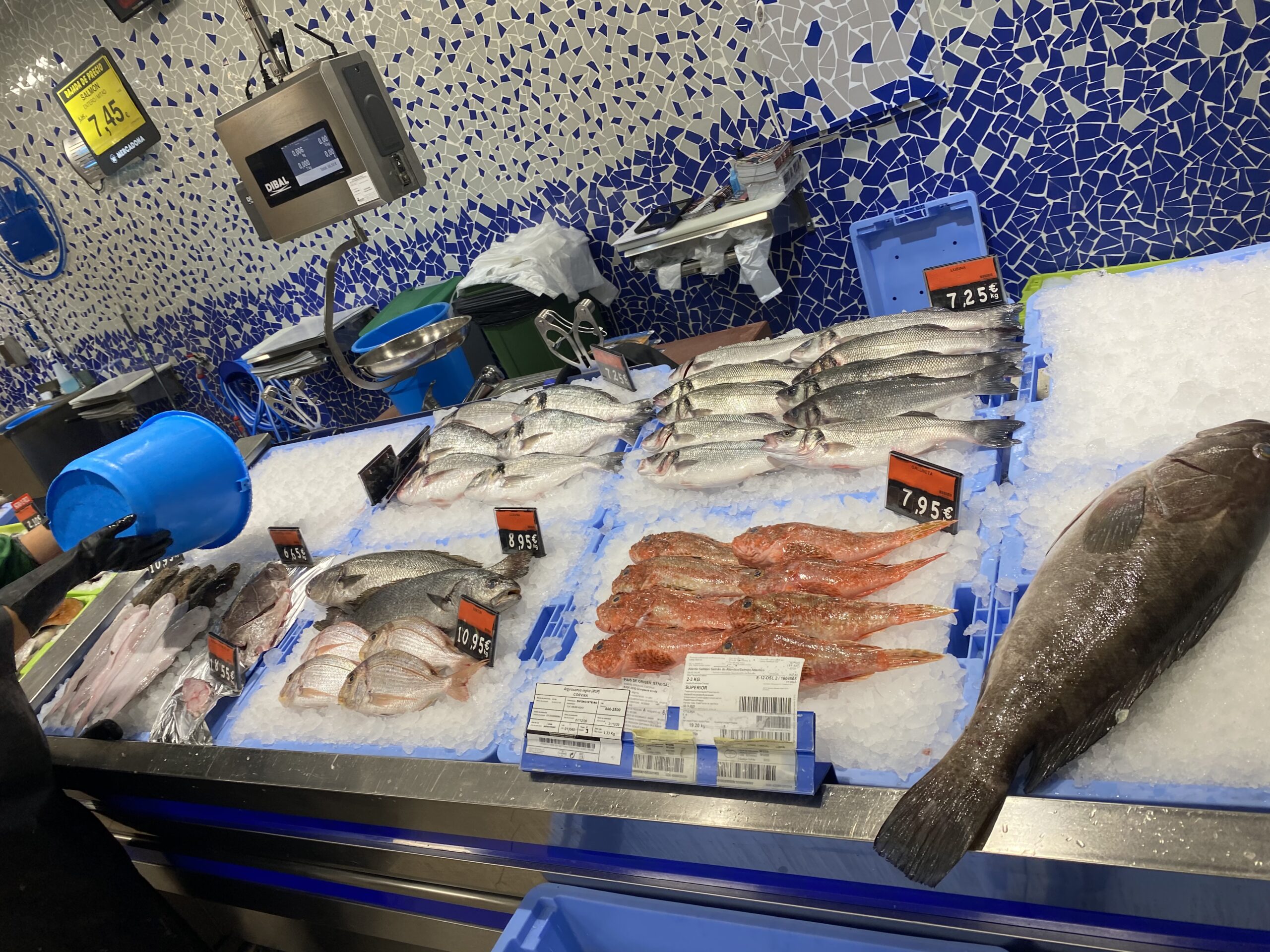 Frischer Fisch an der Fischtheke im Mercadona Meloneras (Süden von Gran Canaria)
