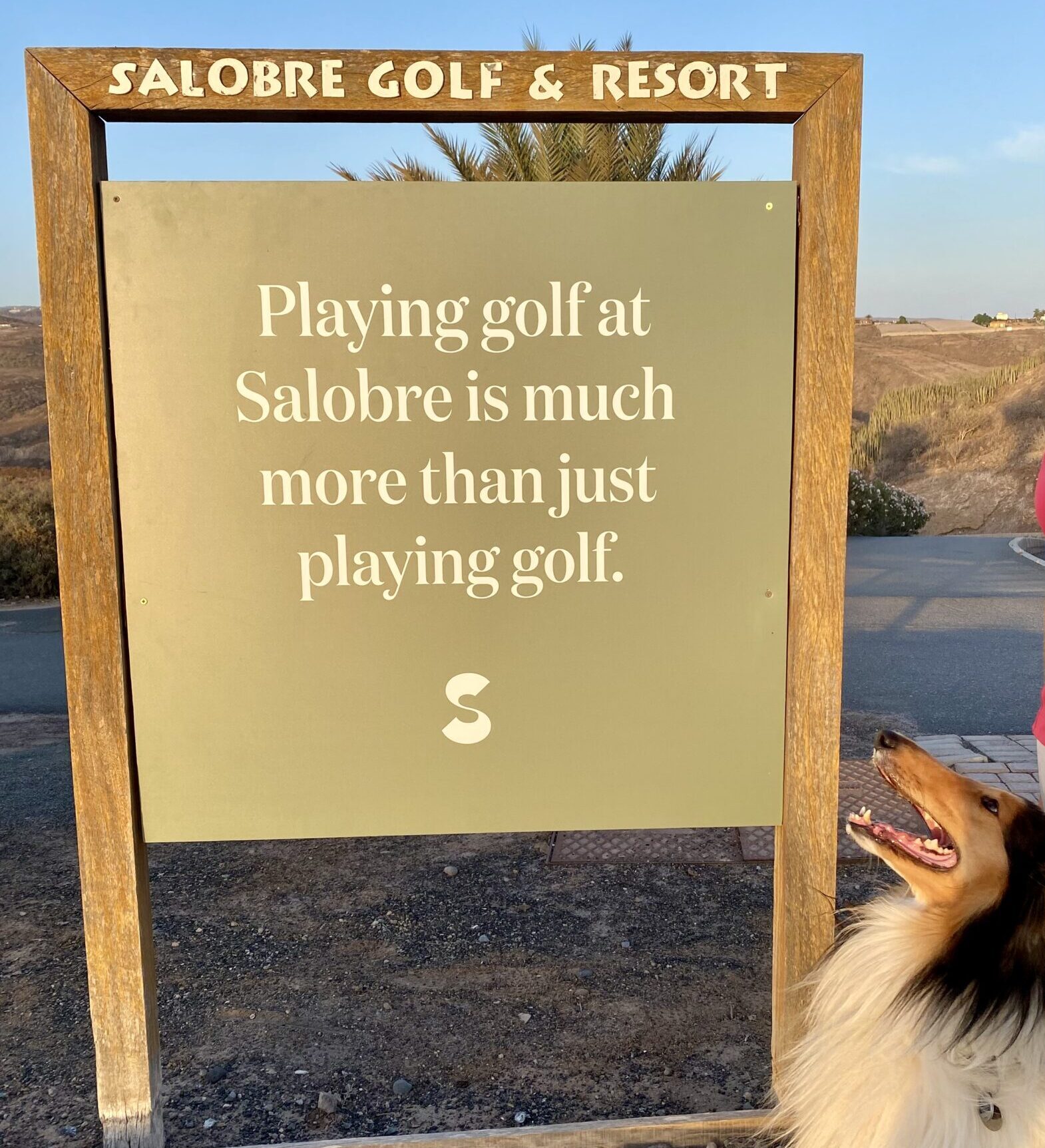 Salobre Golf Resort Gran Canaria – greens, palms and resort atmosphere