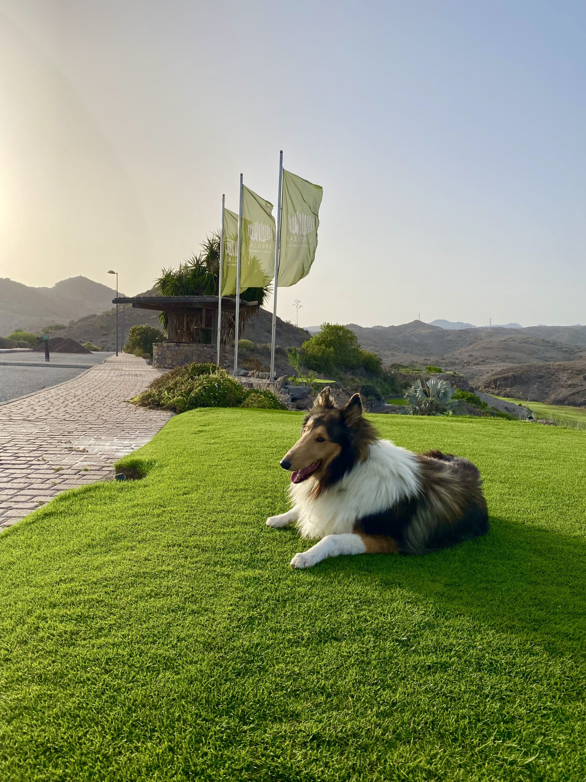 Salobre Golf Resort – golf and natural scenery on Gran Canaria
