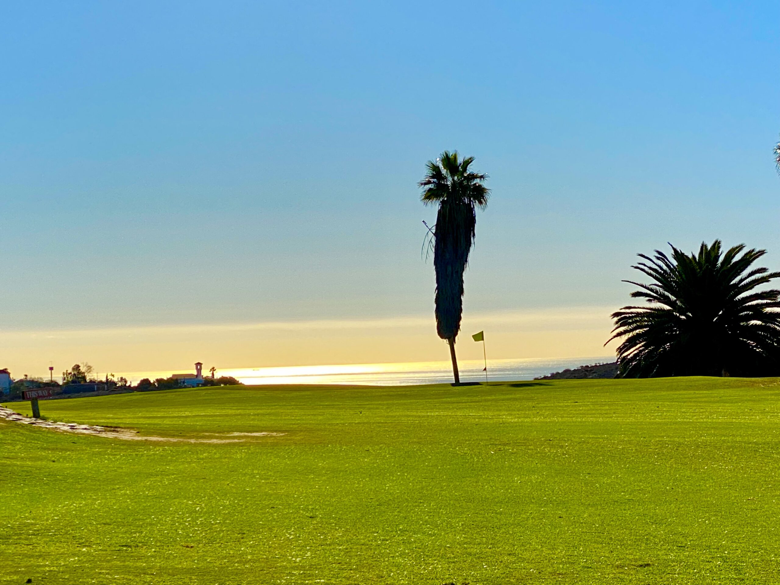 Golfplatz im Süden von Gran Canaria mit Palme und Blick auf den Atlantik